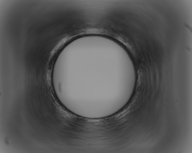 X0000097641454200802290810