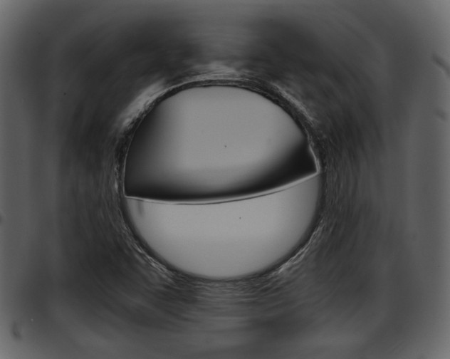X0000097641455200802290810