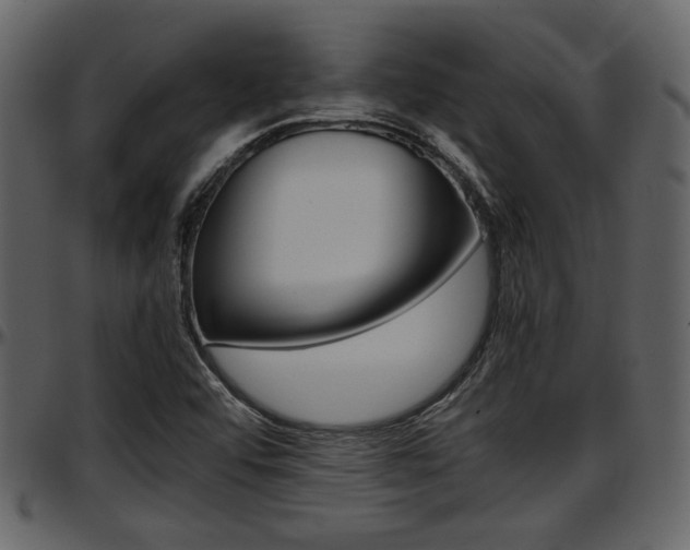 X0000097641456200802290810