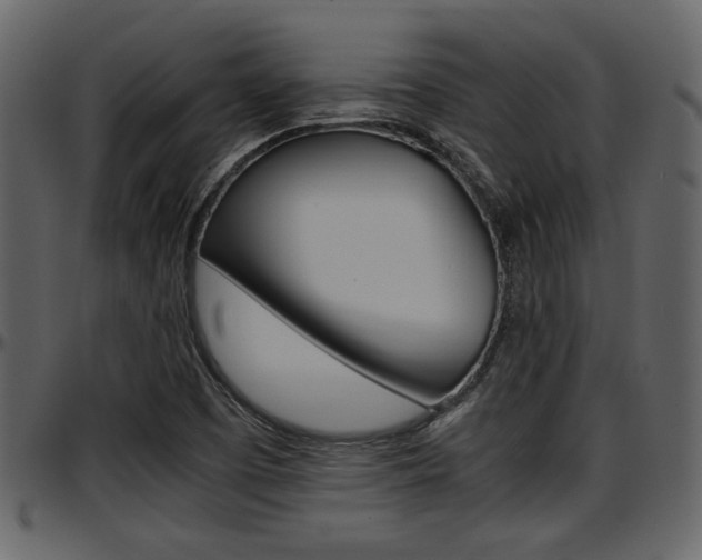 X0000097641457200802290810