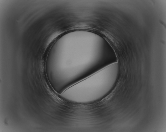 X0000097641458200802290810