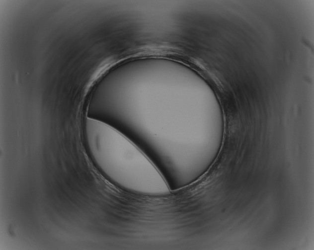 X0000097641459200802290810