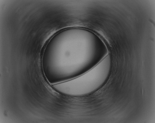 X0000097641460200802290810