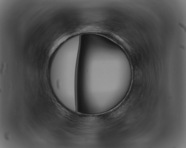 X0000097641461200802290810