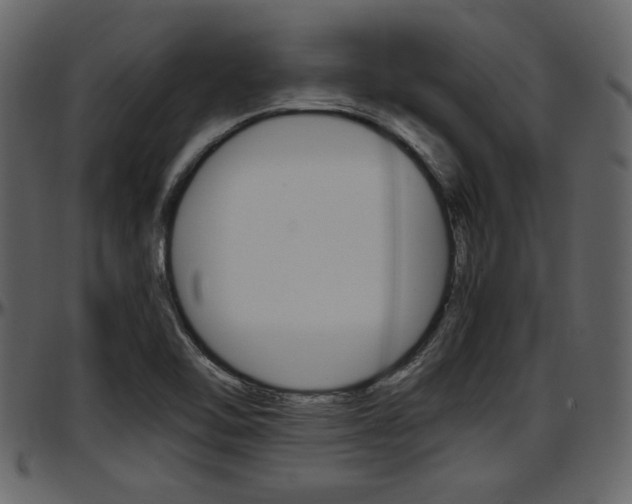 X0000097641462200802290810