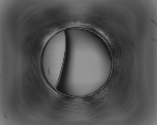 X0000097641463200802290810