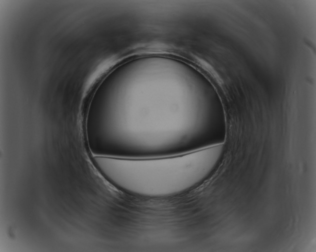 X0000097641464200802290810