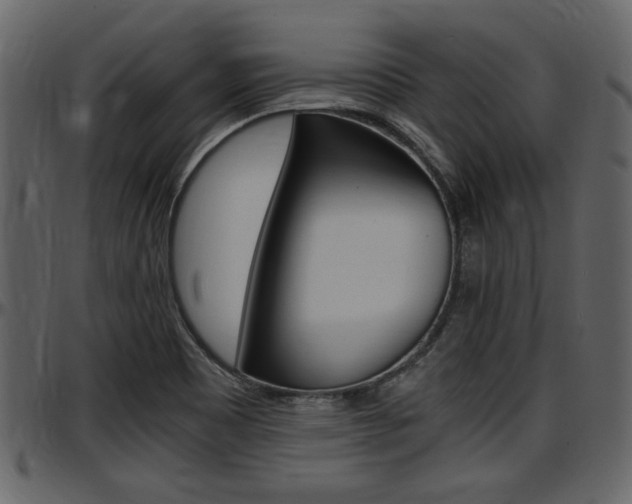 X0000097641465200802290810