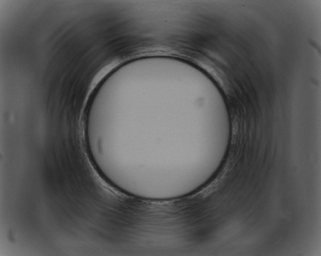 X0000097641466200802290810