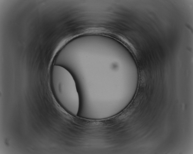 X0000097641467200802290810