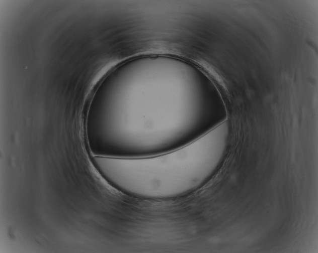 X0000097641468200802290810