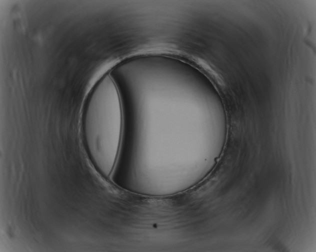 X0000097641469200802290810