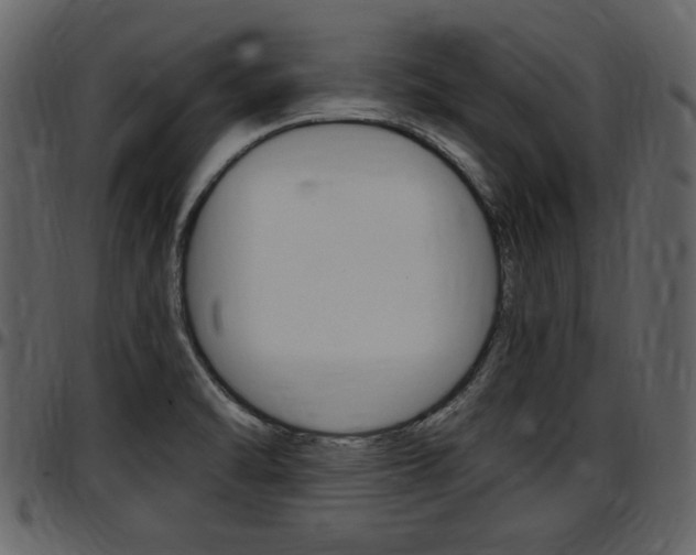 X0000097641470200802290810