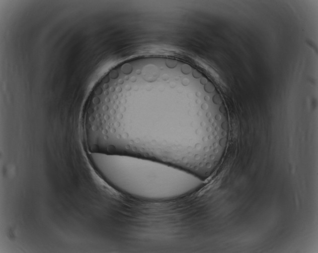 X0000097641471200802290810