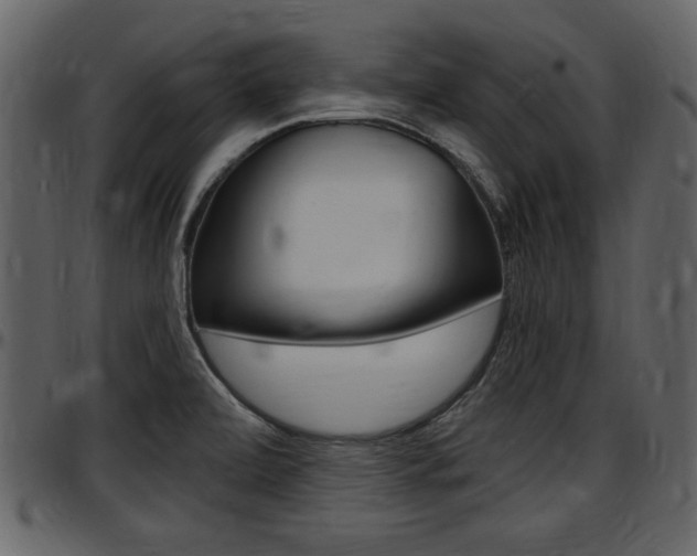 X0000097641472200802290810