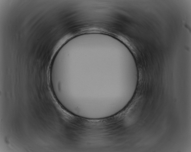 X0000097641474200802290810