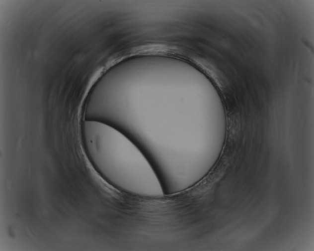 X0000097641475200802290810