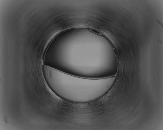 X0000097641476200802290810