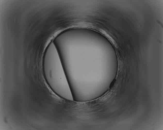 X0000097641477200802290810