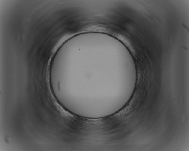 X0000097641478200802290810