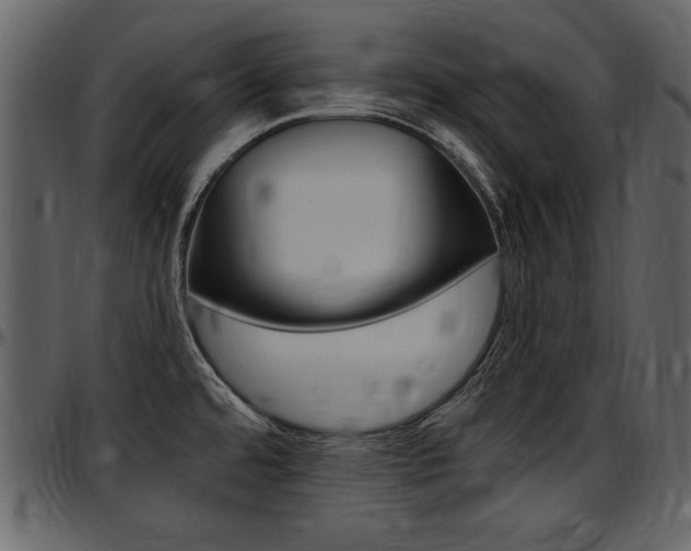 X0000097641480200802290810
