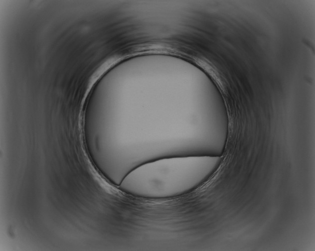X0000097641482200802290810