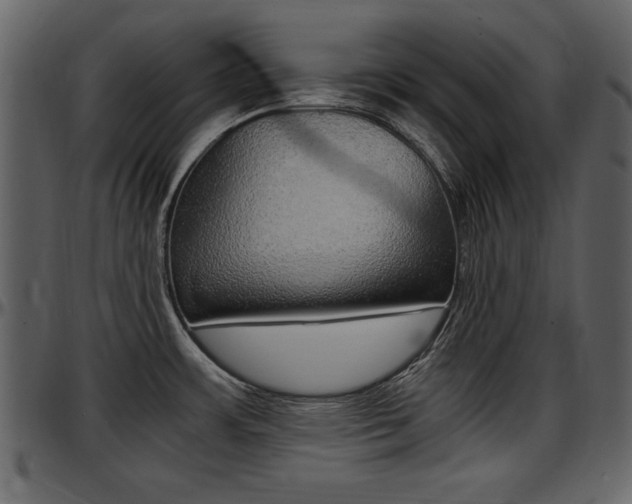 X0000097641483200802290810