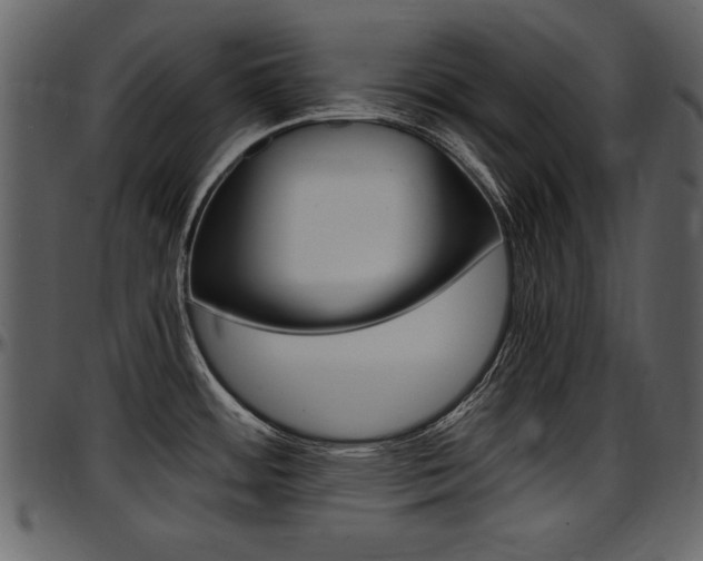 X0000097641484200802290810