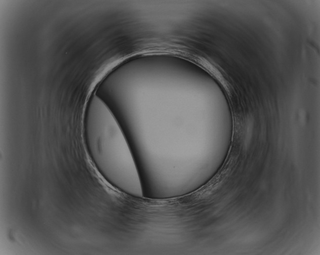 X0000097641485200802290810