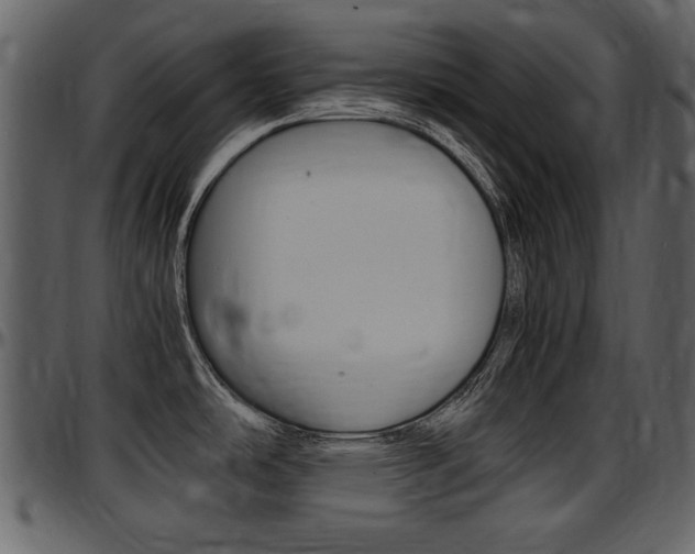 X0000097641486200802290810