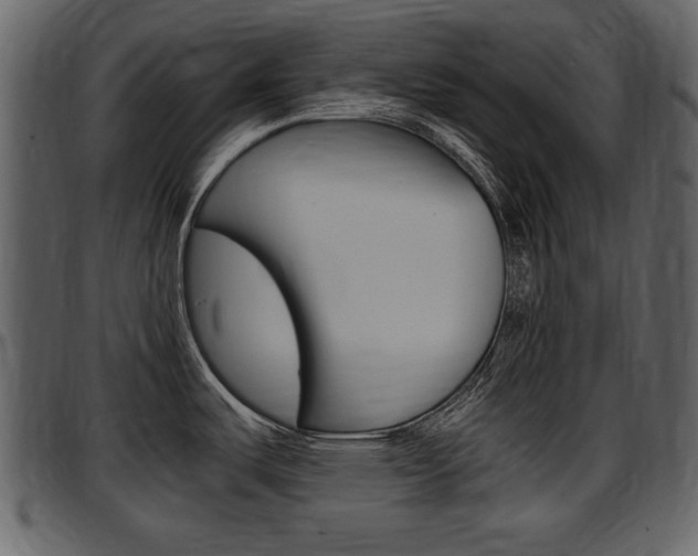X0000097641487200802290810