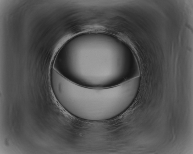 X0000097641488200802290810
