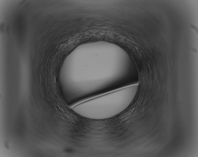 X0000097641489200802290809