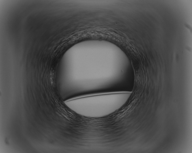 X0000097641490200802290809
