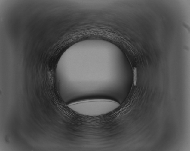X0000097641491200802290809