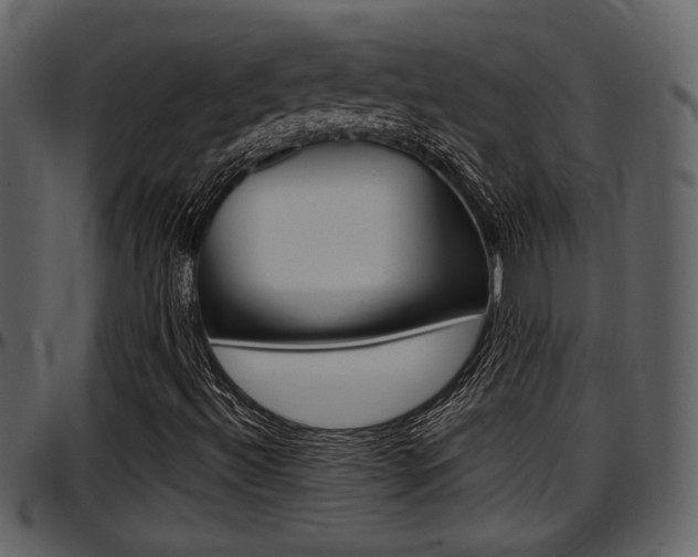 X0000097641492200802290809