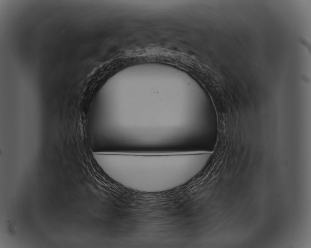 X0000097641493200802290809