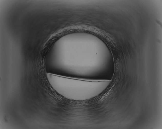X0000097641494200802290809