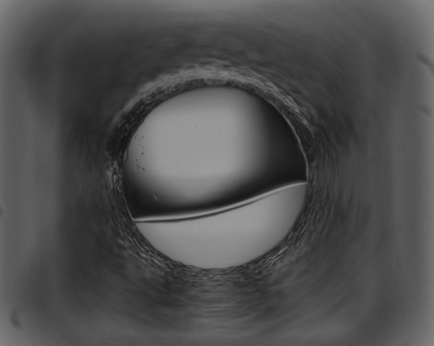 X0000097641495200802290809