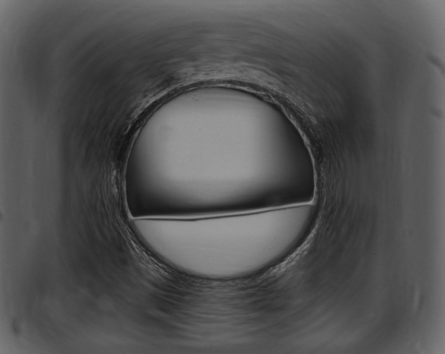 X0000097641497200802290809