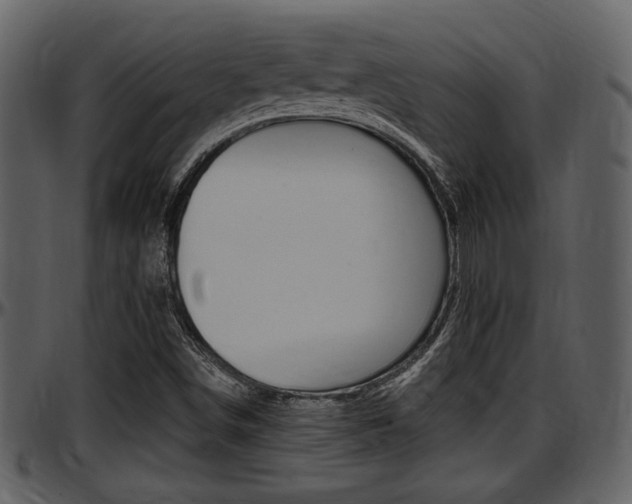 X0000097641498200802290809