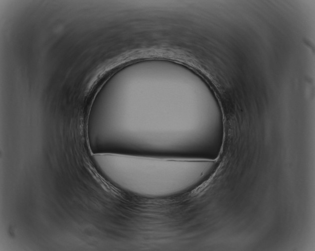 X0000097641499200802290809