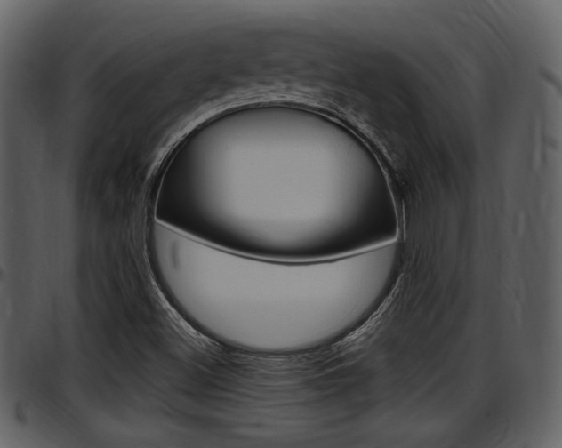 X0000097641500200802290809