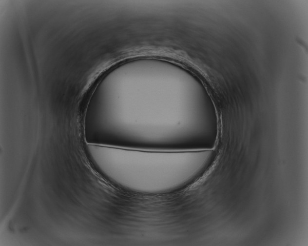 X0000097641501200802290809