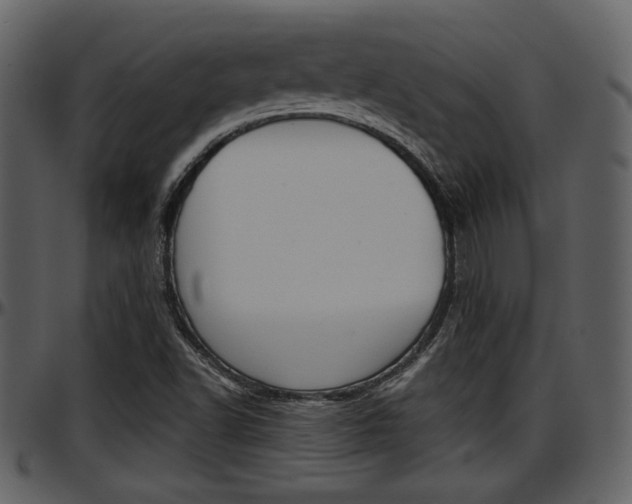 X0000097641502200802290809