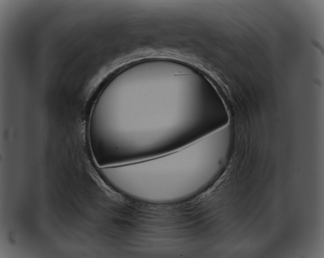 X0000097641503200802290809