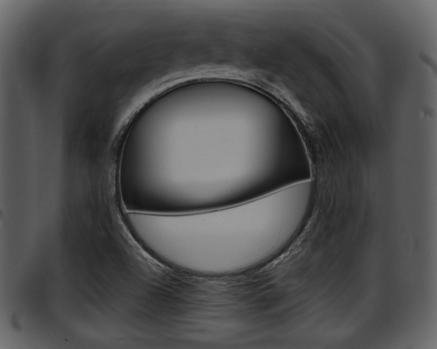 X0000097641504200802290810