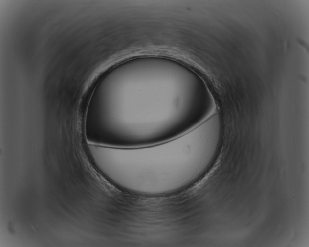 X0000097641506200802290810