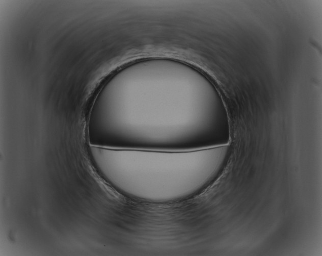 X0000097641507200802290810
