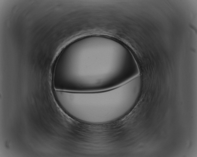 X0000097641508200802290810